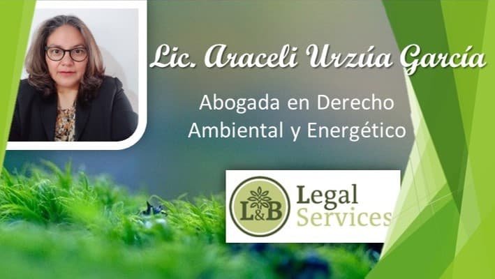 Araceli Urzúa García