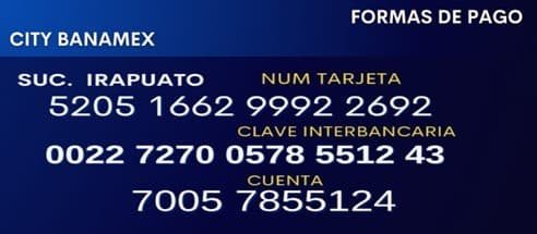 Paga en Citi Banamex