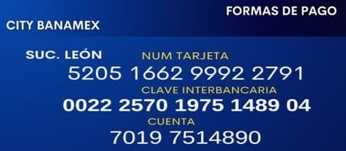 Paga en Citi Banamex